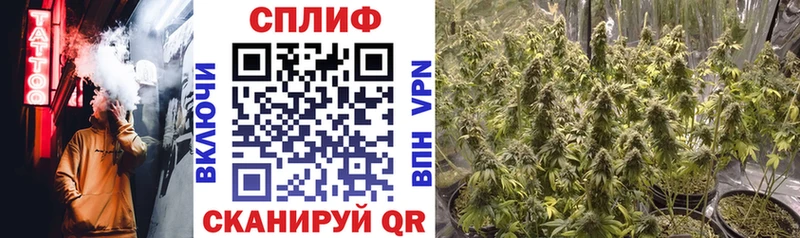 Сколько стоит Фатеж ГАШ  Канабис  COCAIN  Меф 
